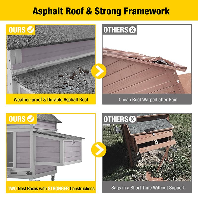 Keep Your Pets SafeTo prevent predators from attacking your chickens