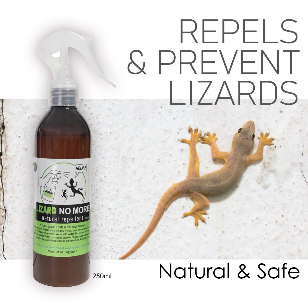 Natural Lizard Repellent Spray Lizard No More 250ml A Green Product