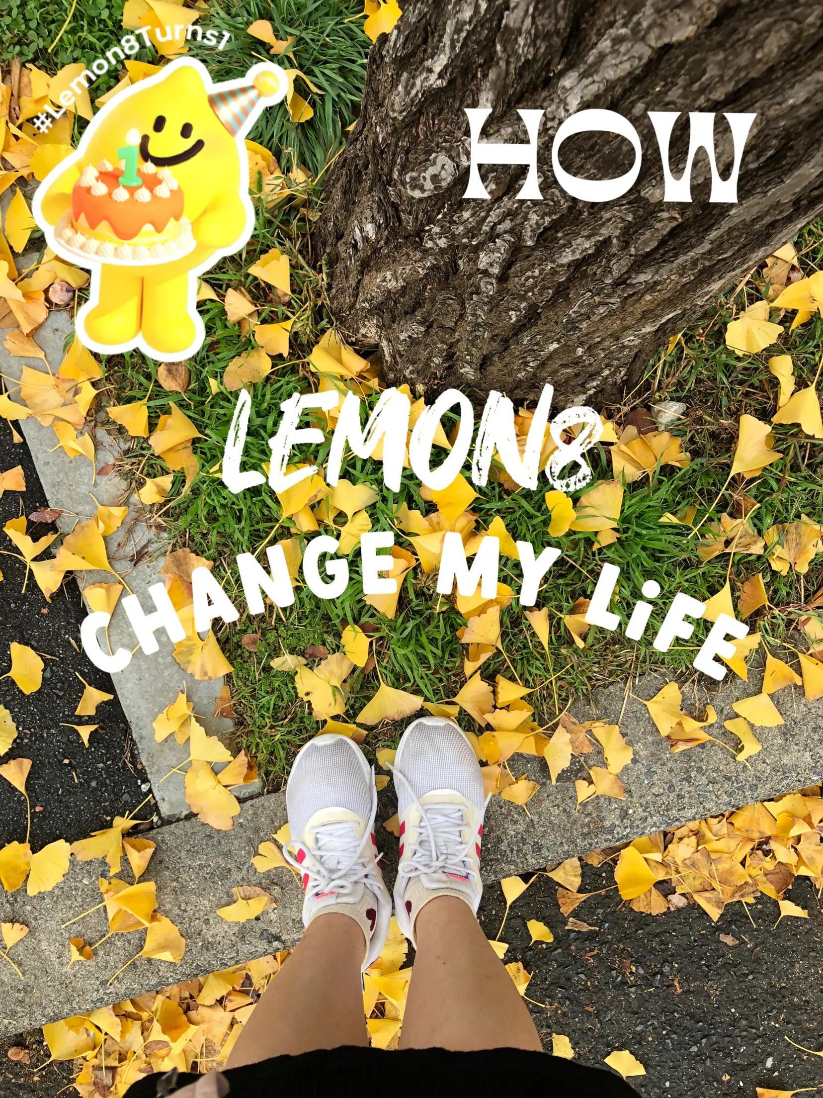 Ini 3 Big impact how Lemon8 change My Life! แกลเลอรีที่โพสต์โดย