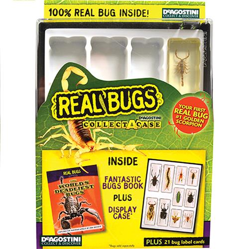 Wholesale Real Bugs Collection Case Book and Kit. GLW