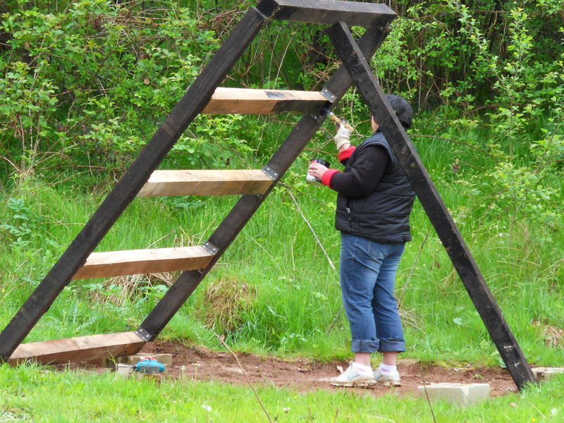 L'ABRI DE JARDIN Bienvenue sur étang et chalet