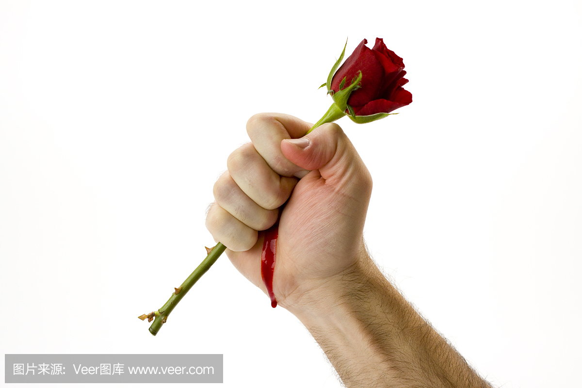 玫瑰疙瘩头_疙瘩头 随意云