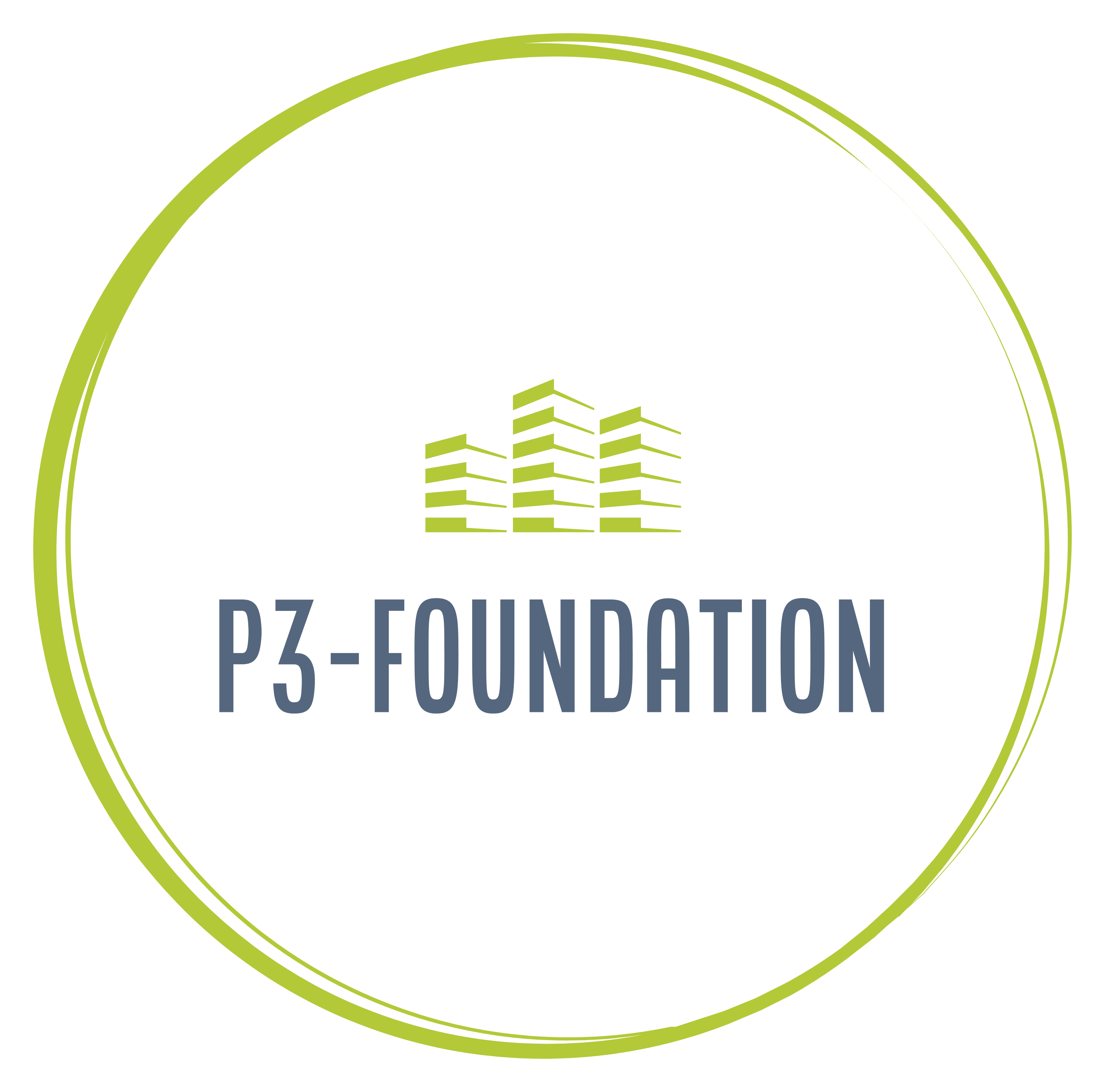 About Us P3Foundation