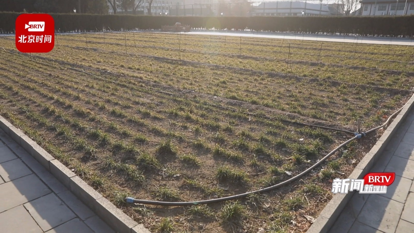 博物馆有秘密：管好你的“一亩三分地”原来出处在这里！_北京时间