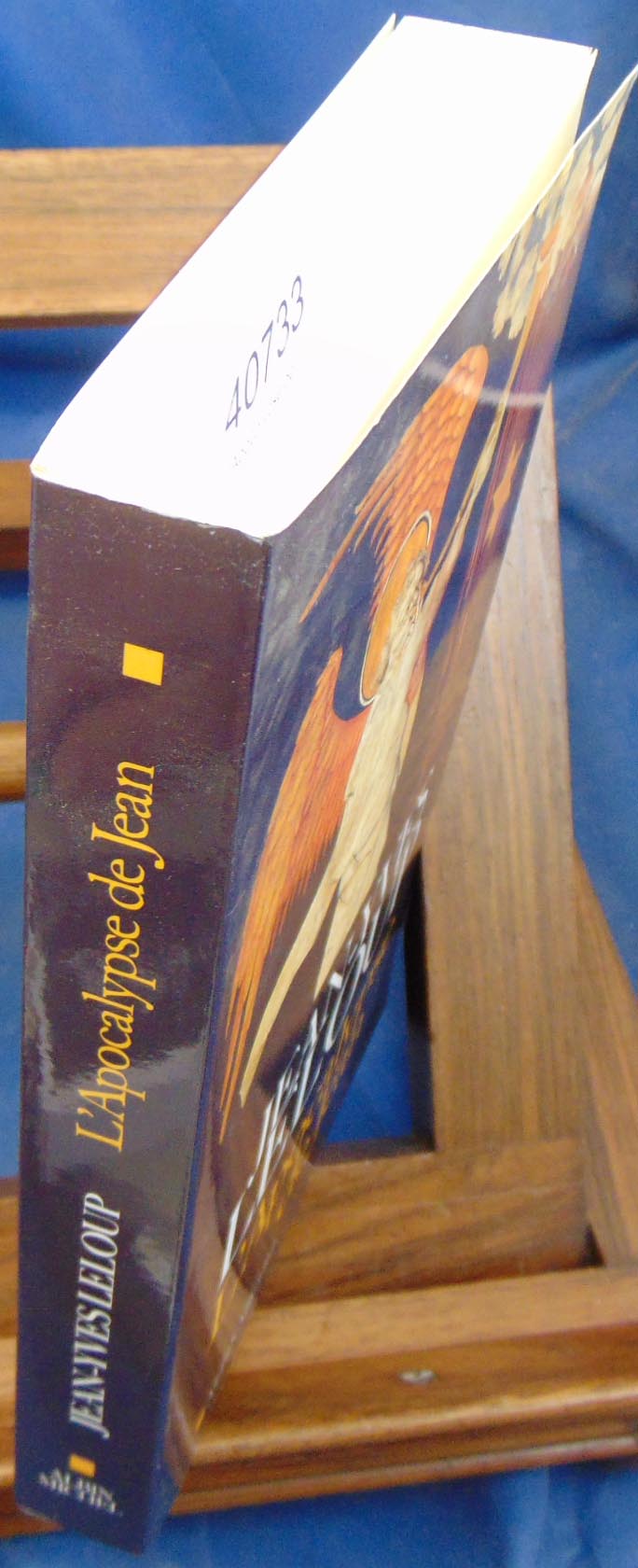 Leloup JeanYves L'Apocalypse de Jean... D220 Bible , ouvrages