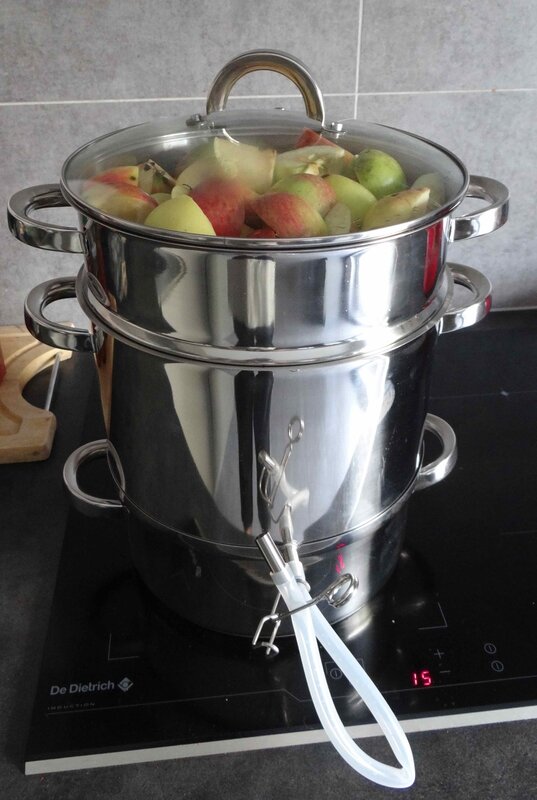 Recette Gelée De Pommes Avec Extracteur De Jus