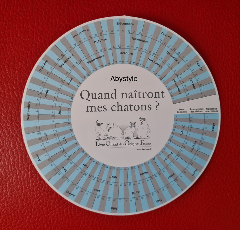 Table de Gestation pour chat Gestation table for cat Abyssins d