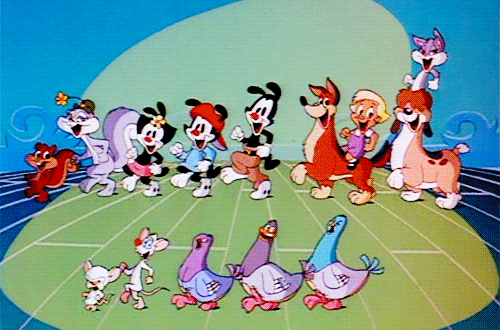 Animaniacs Review Cartoon Amino