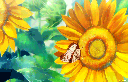 🌟Yellow Aesthetics🌟 Anime Amino