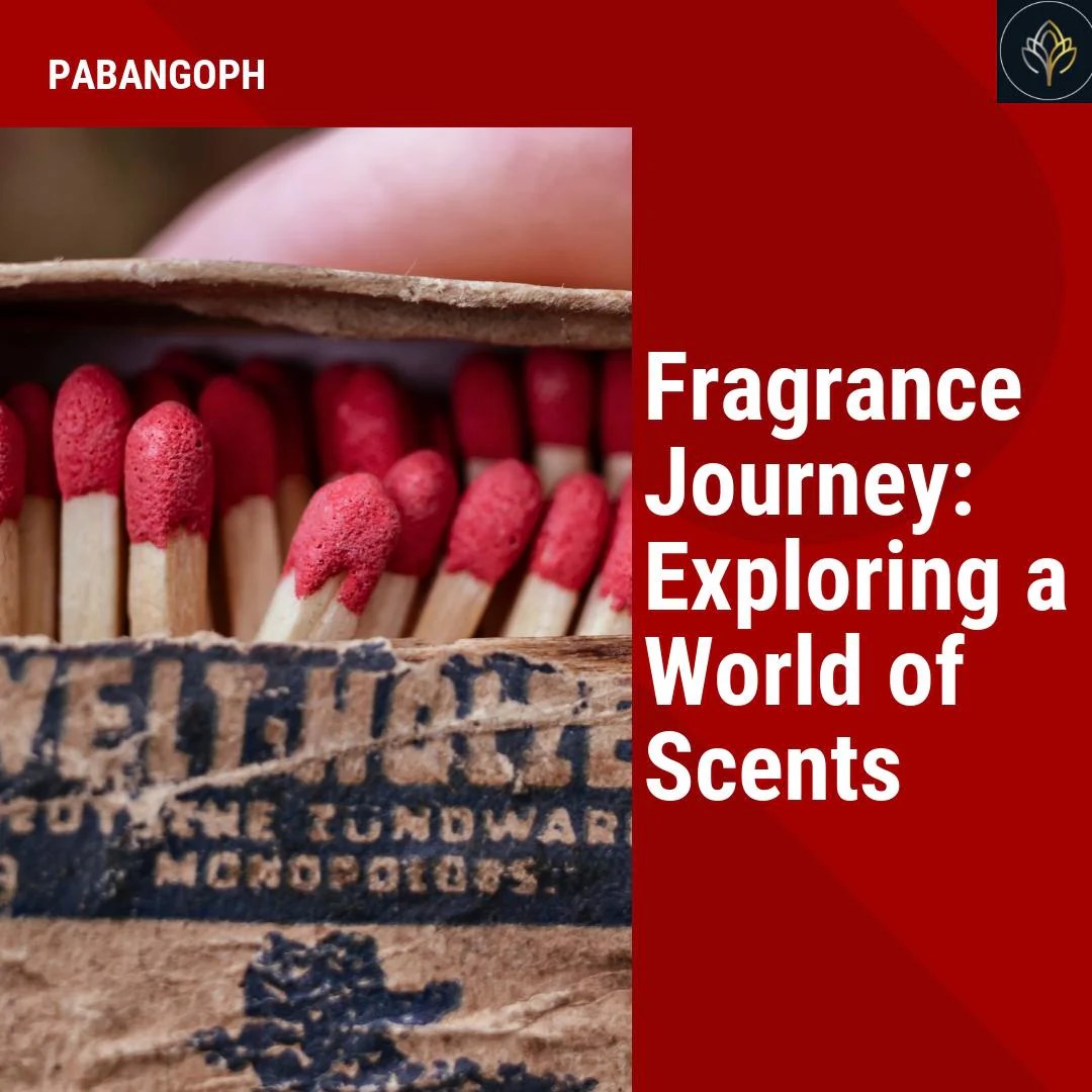 Fragrance Journey Exploring a World of Scents PabangoPH