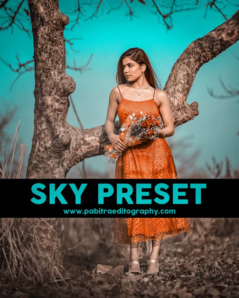 Lightroom Sky Preset By PABITRA EDITOGRAPHY