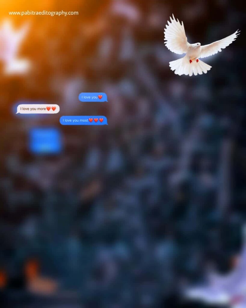 Picsart Photo Editing Background Blur PABITRA EDITOGRAPHY