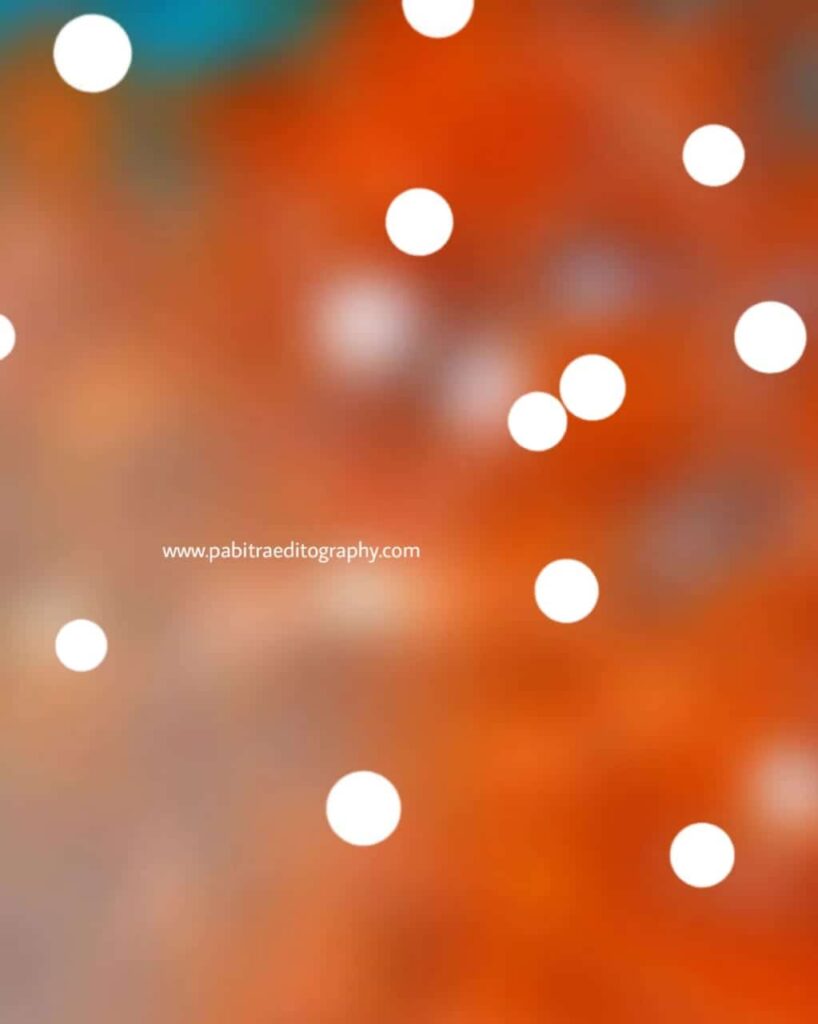 Picsart Photo Editing Background Blur PABITRA EDITOGRAPHY