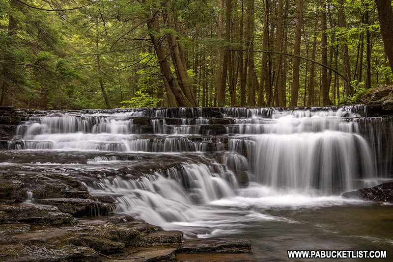 Exploring the Waterfalls at Salt Springs State Park