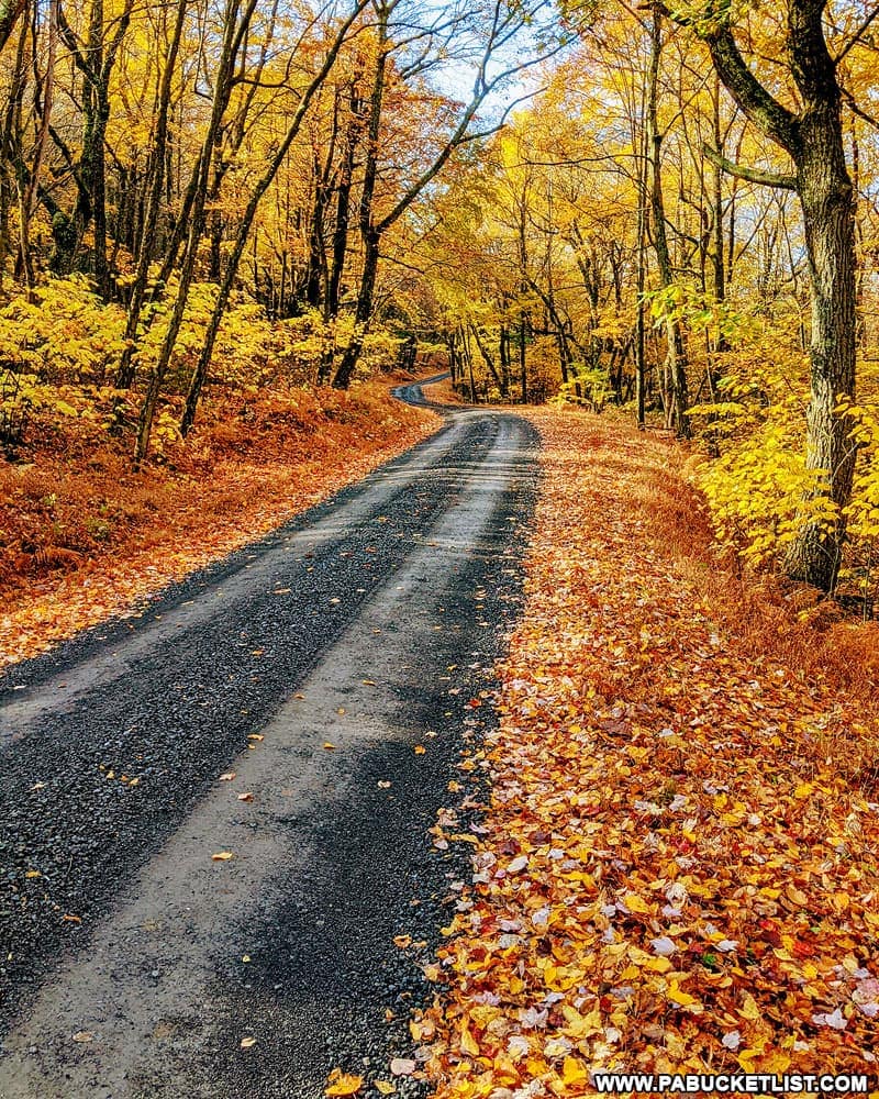 10 Great PA Backroads Adventures