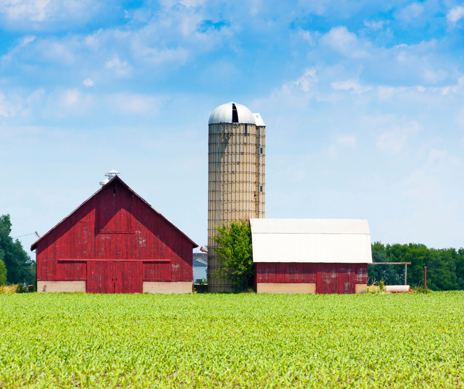 Living off the Land The Art of Homesteading on a Minnesota Hobby Farm