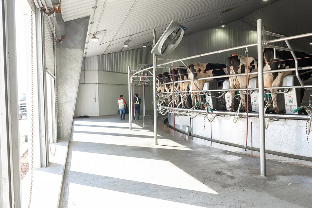 Benton Group Dairies PACE Ag Group