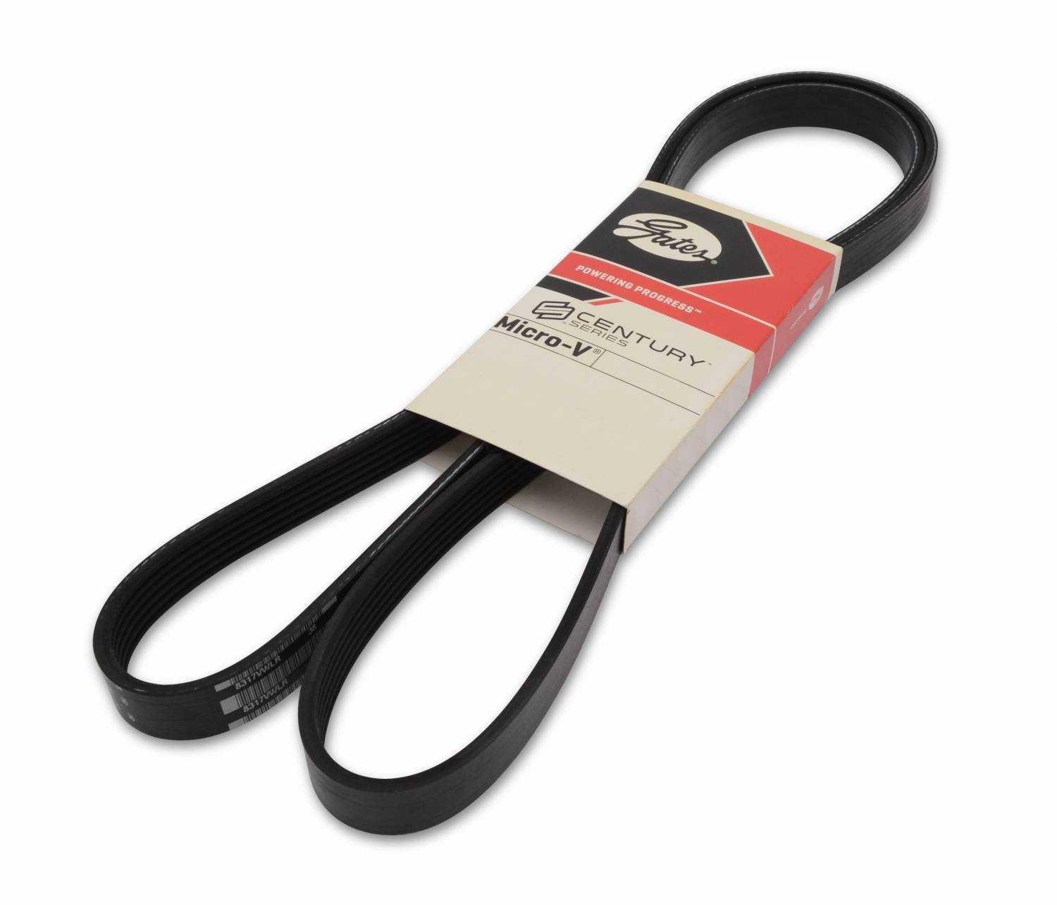 EMSMS1176623 Serpentine Belt Sbc No Ac/Bbc No Ps 140 Eddie Motorsports