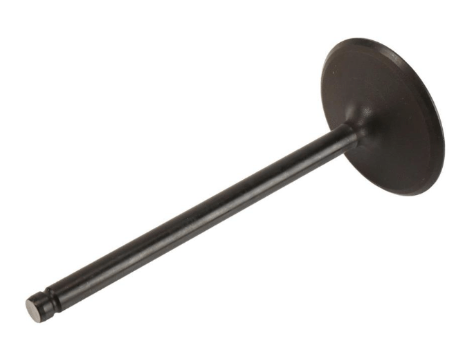 12629513 LT1, LT2, L86, L87 Intake Valve