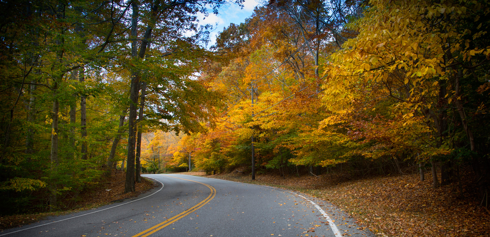 Western Suffolk Ny at Florentino Brooks blog