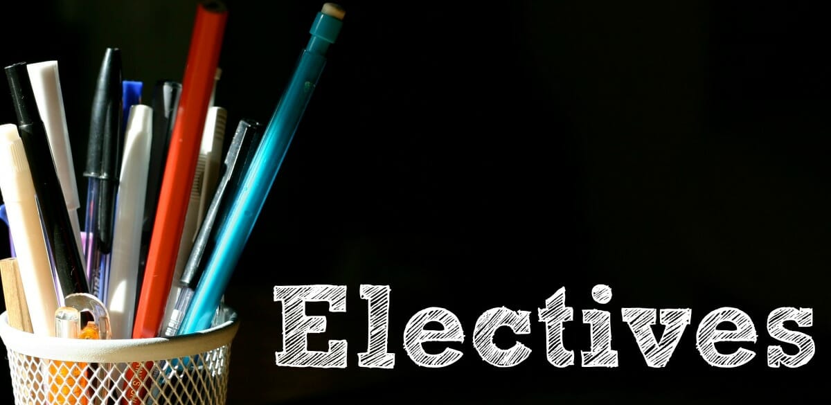 What about electives or alternatives? • PACE Success