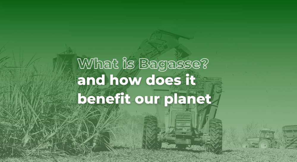 What is Bagasse? and How does it benefit our Pac Food