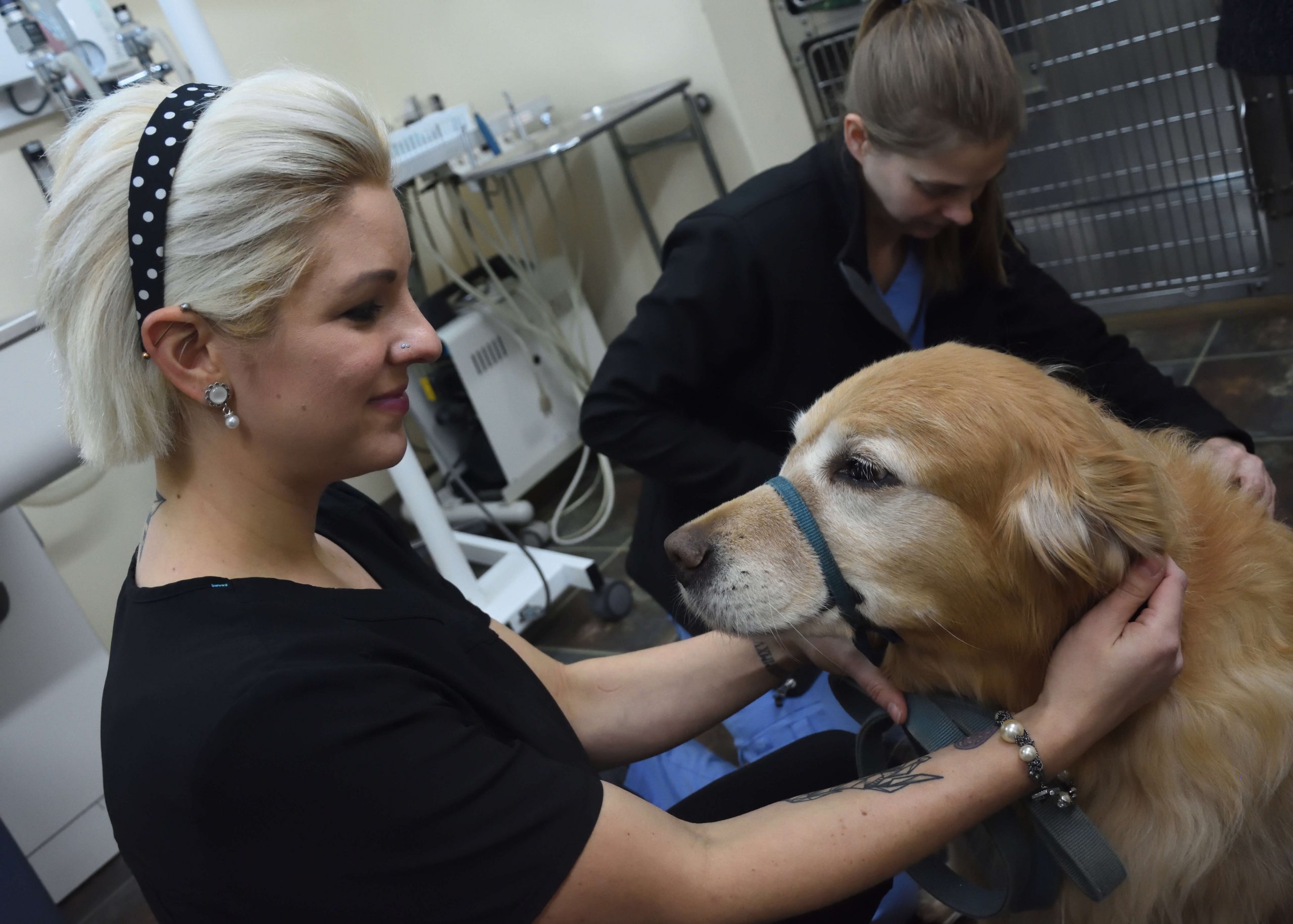 Our Mission Vet In Voluntown, CT Pachaug Animal Hospital