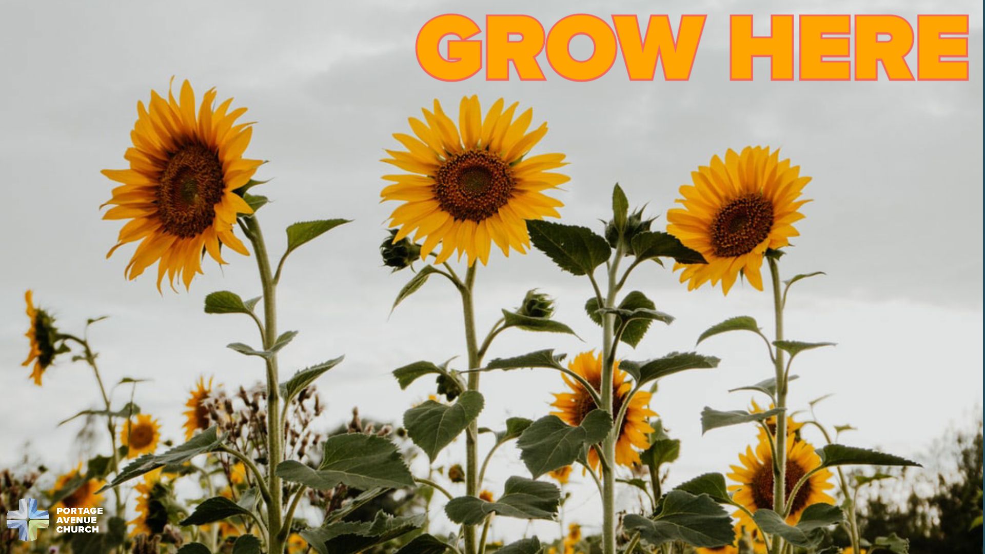 September 13 worship service Portage Avenue Church