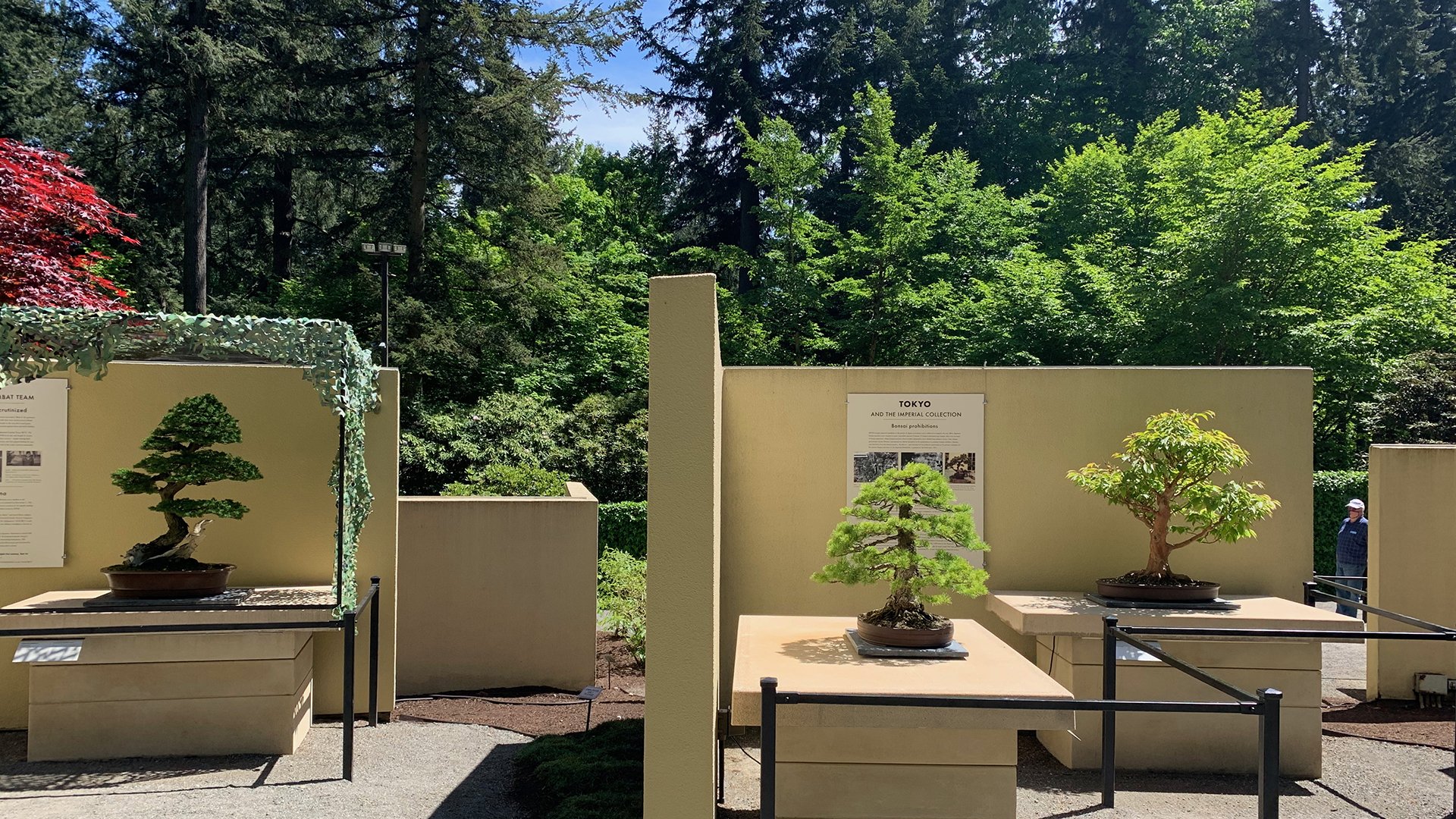 Pacific Bonsai Museum
