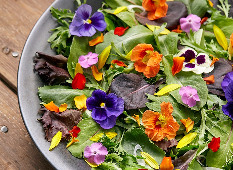 Edible Flowers: A Rich Source of Antioxidant