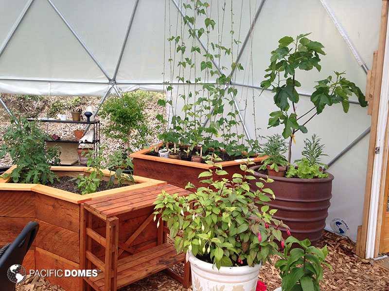 How to Maximize Your Greenhouse Part 1