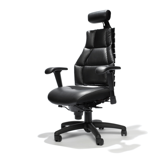 Ergonomic Office Chairs San Diego RFM Verte Ergonomic Chair Pacific Ergonomics In San Diego