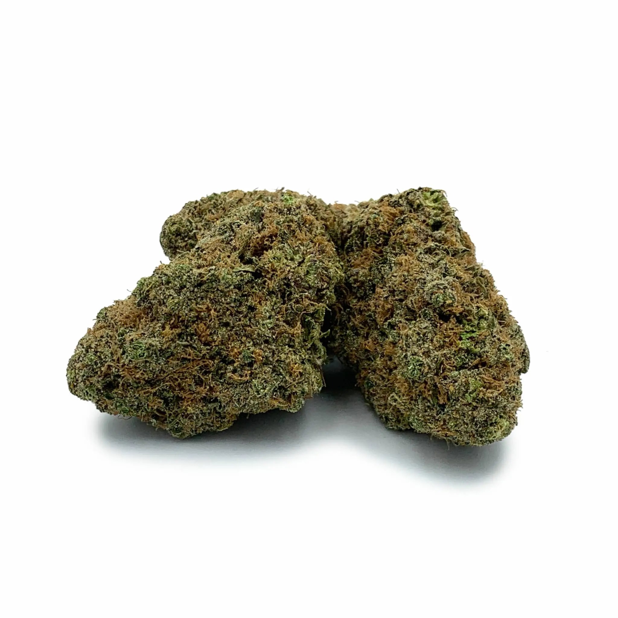Buy Chocolate Kush Online In Canada Pacific Grass