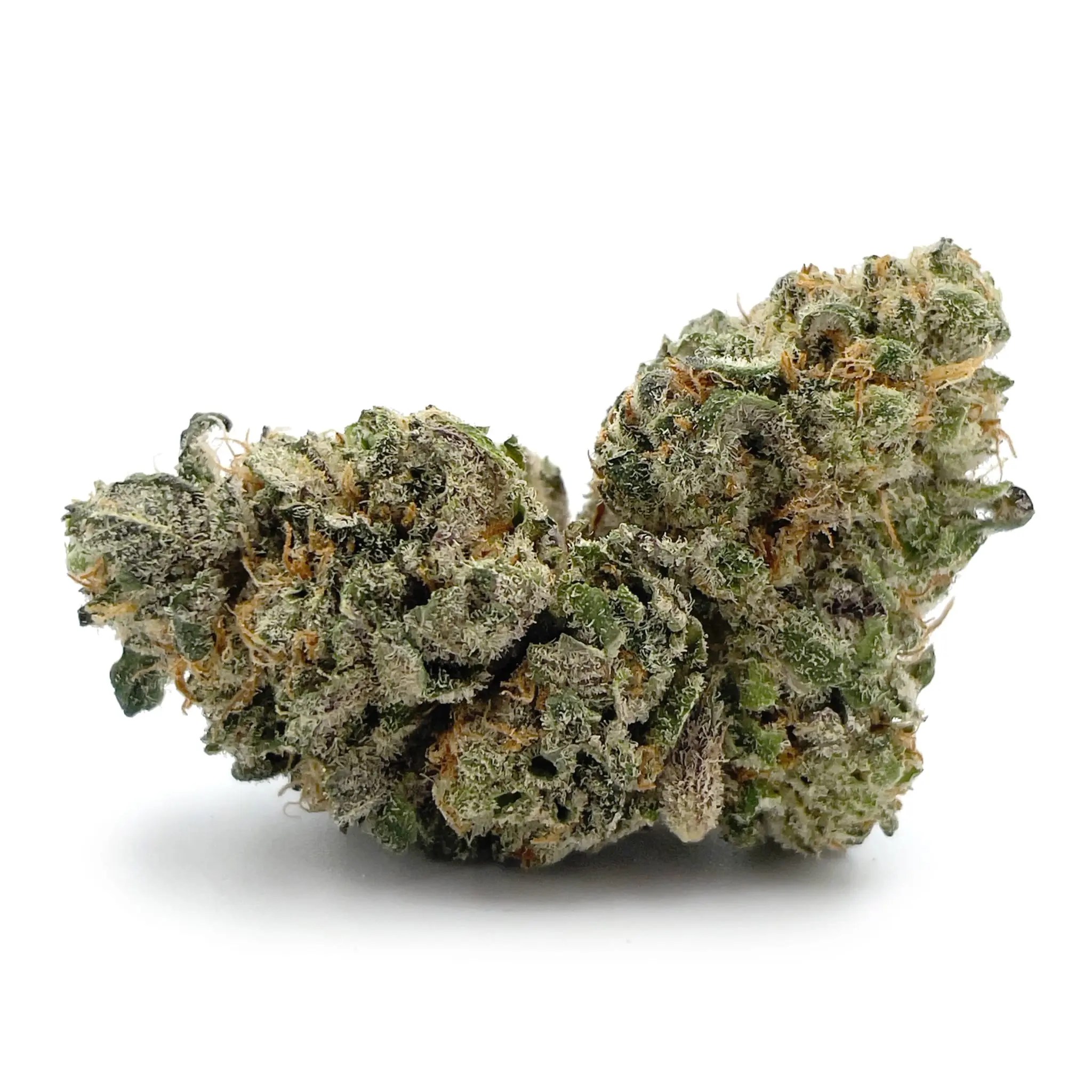 Buy Chocolate Kush Online In Canada Pacific Grass