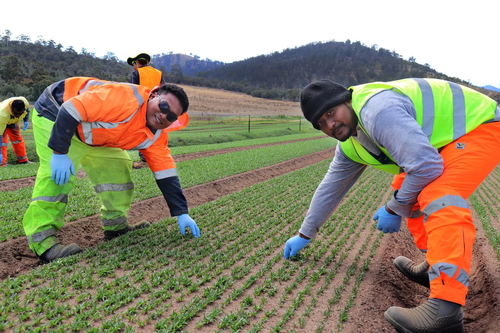 The social benefits of seasonal worker programs looking beyond the