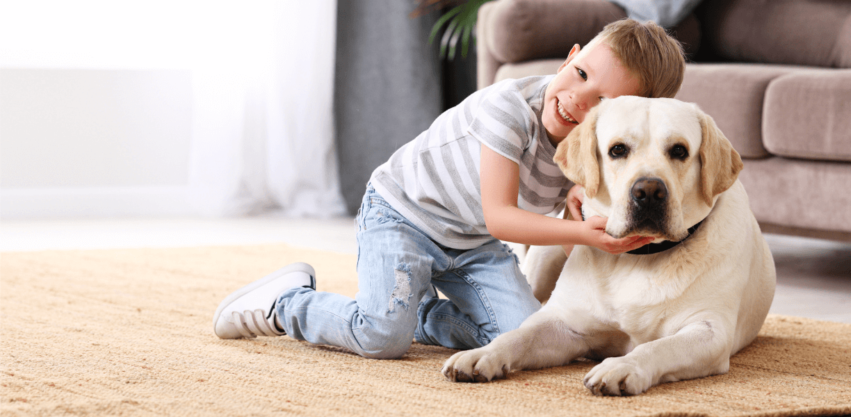 Vet Near Me Grants Pass, OR Pacific Veterinary Clinic