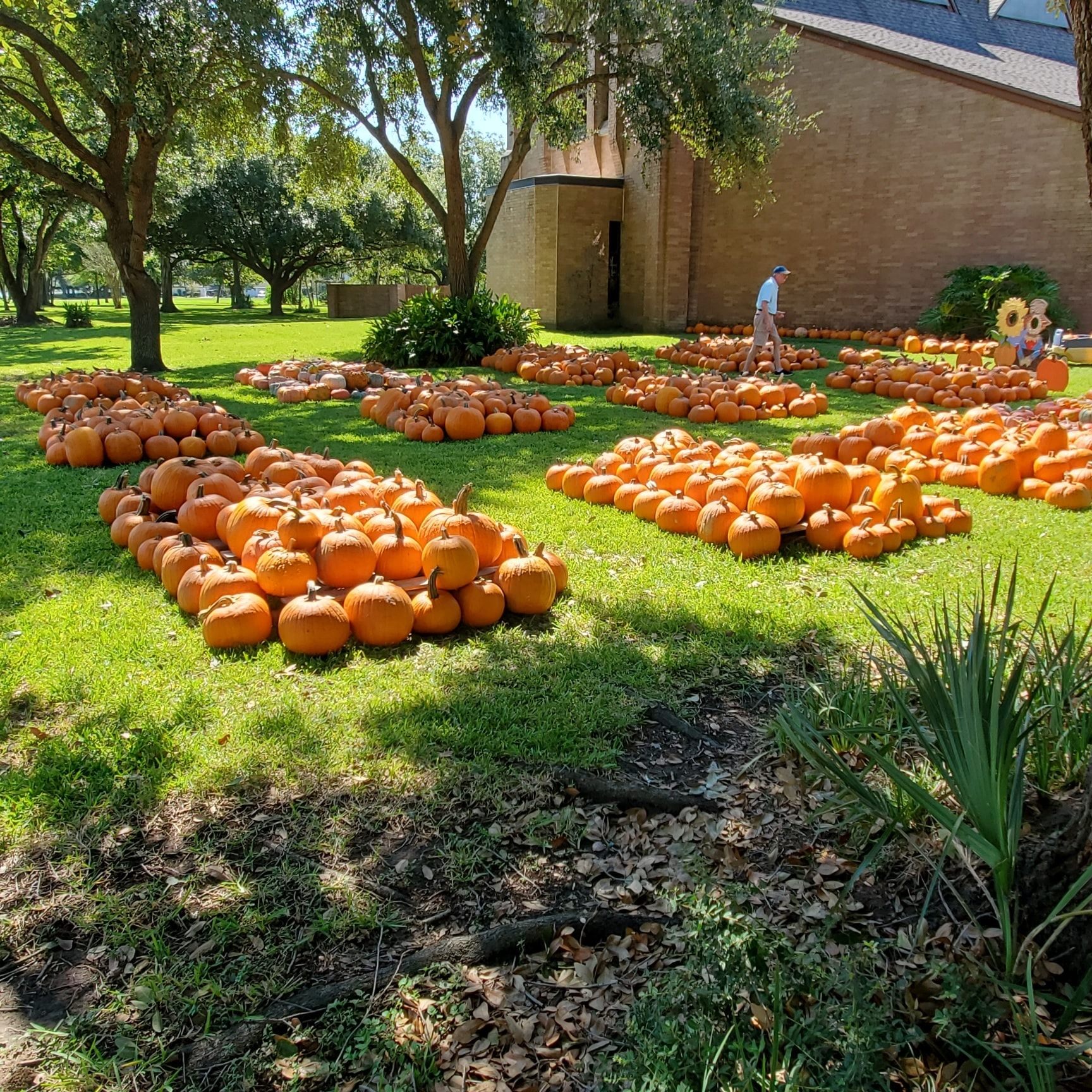 Pumpkin Patch 2021 Cub Scout Pack 1965