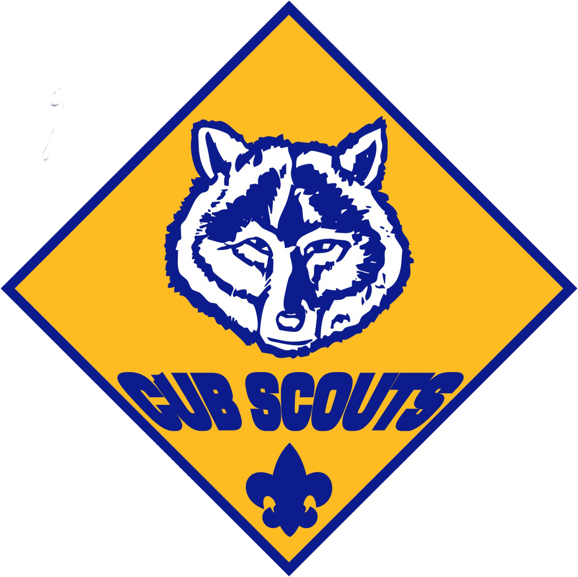 Pack 64 Amarillo, Texas Western Plateau Goldenspread Council