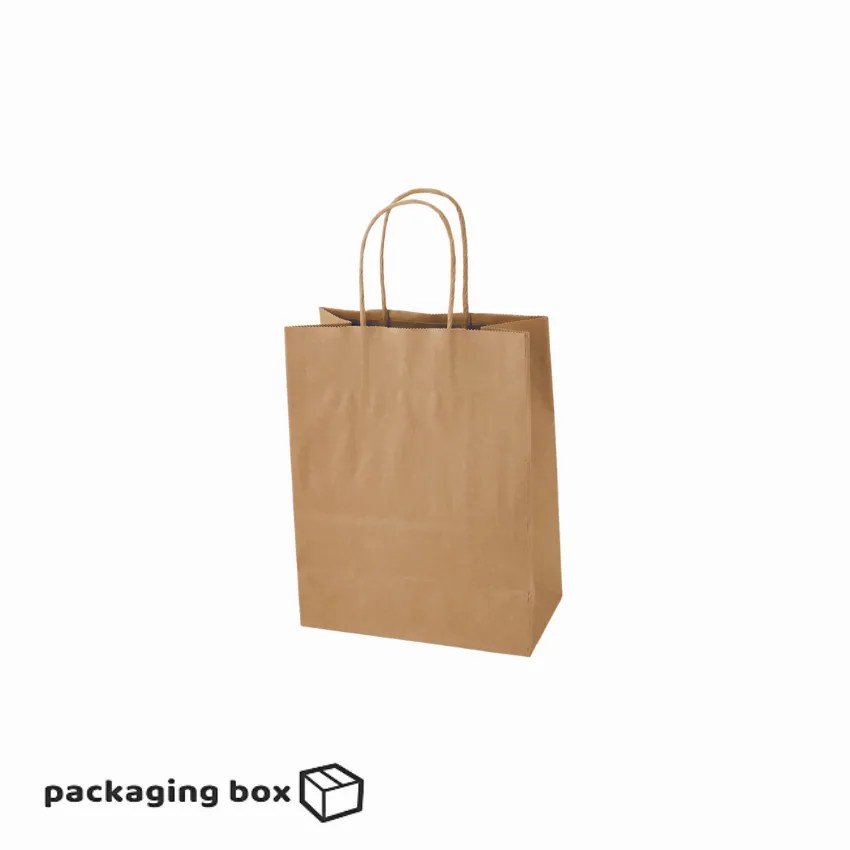 Kraft Paper Bag With Twisted Rope Handle (Small) Packaging Box