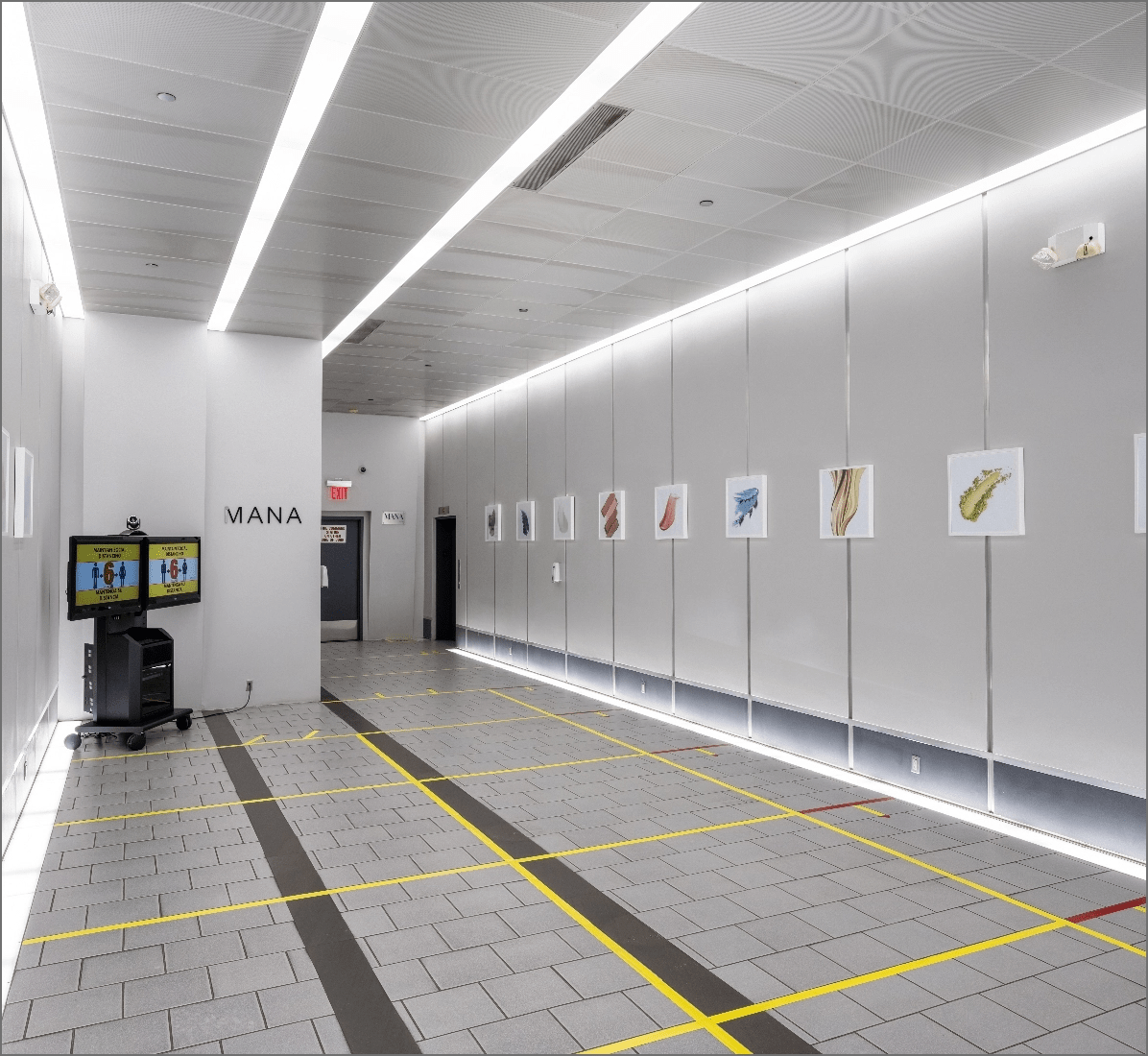 Specifications Packard LIC