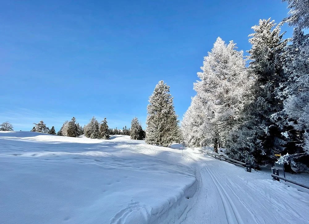 Beautiful Ski Touring and Snowshoeing Tracks in Nendaz Our Favourites