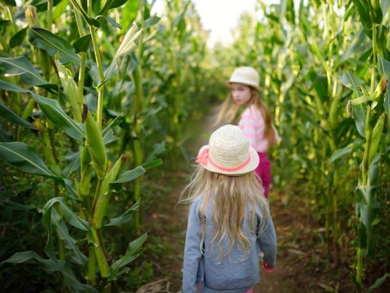 21 Fun Things to do with Kids in Rhode Island in Fall