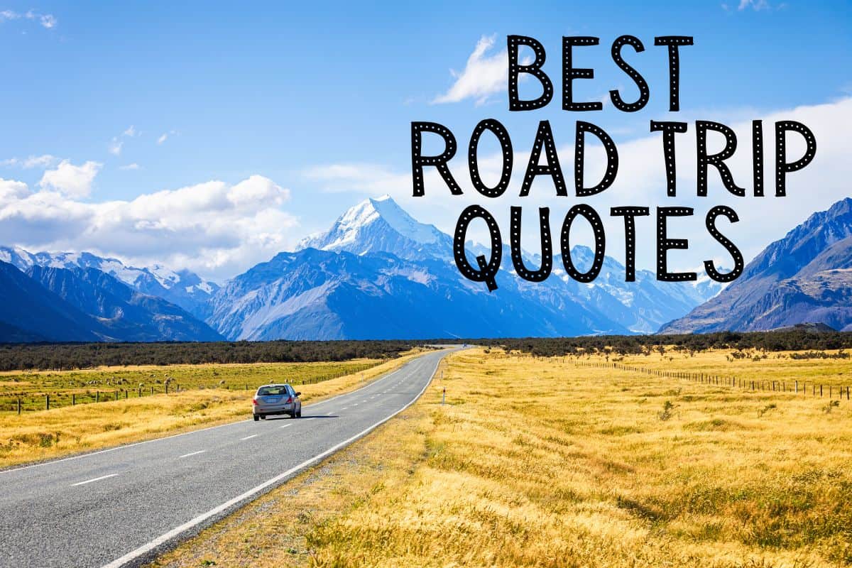 170 Best Road Trip Quotes Quirky, Funny and Deep