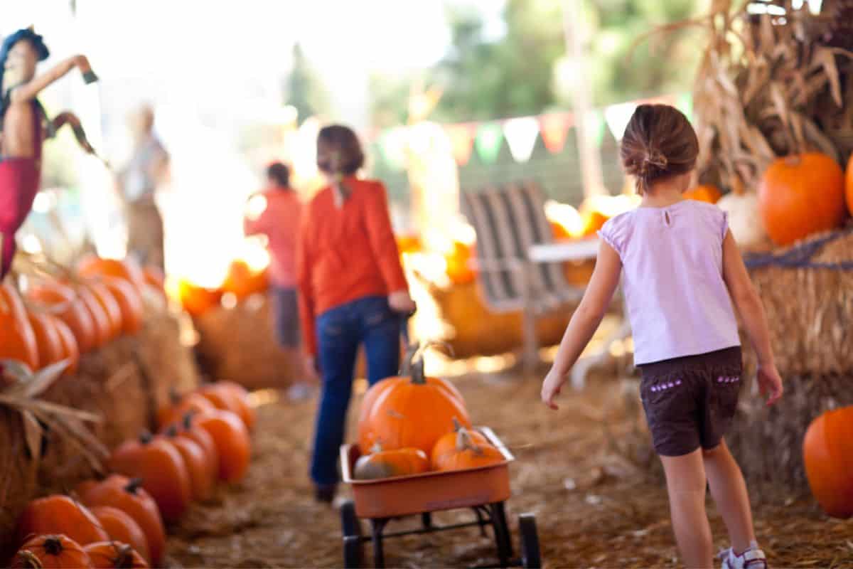 21 Fun Things to do with Kids in Rhode Island in Fall