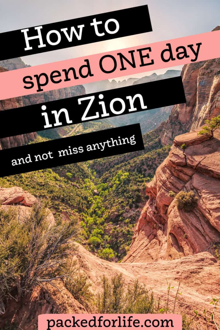 One Day In Zion National Park Itinerary & Guide For 2024