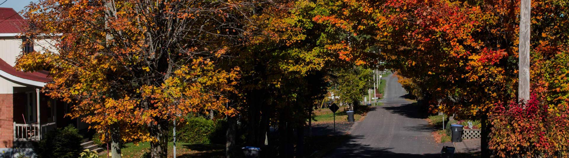 Municipalité de Packington Accueil