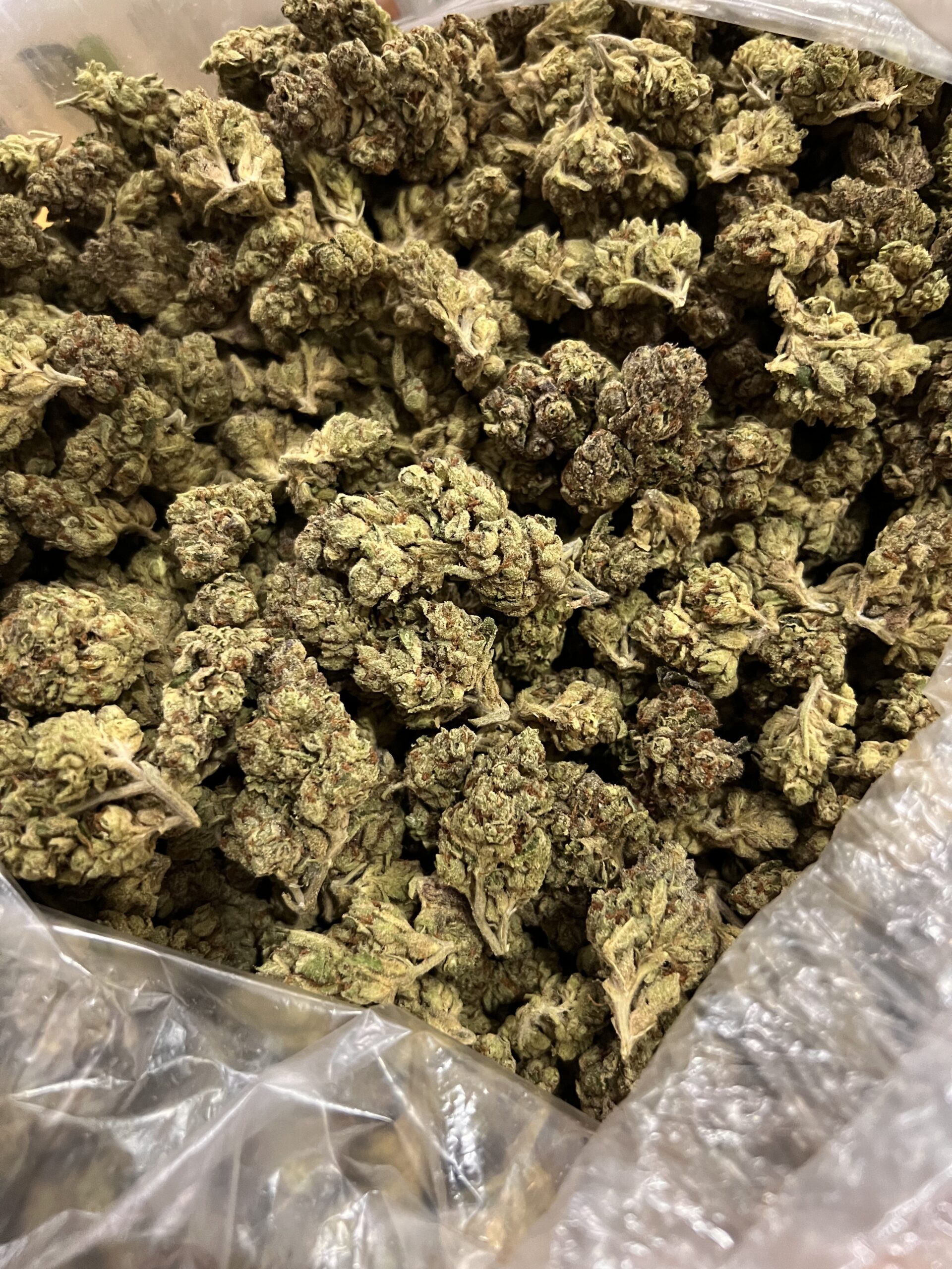 Cherry AK47 Pack Trapper