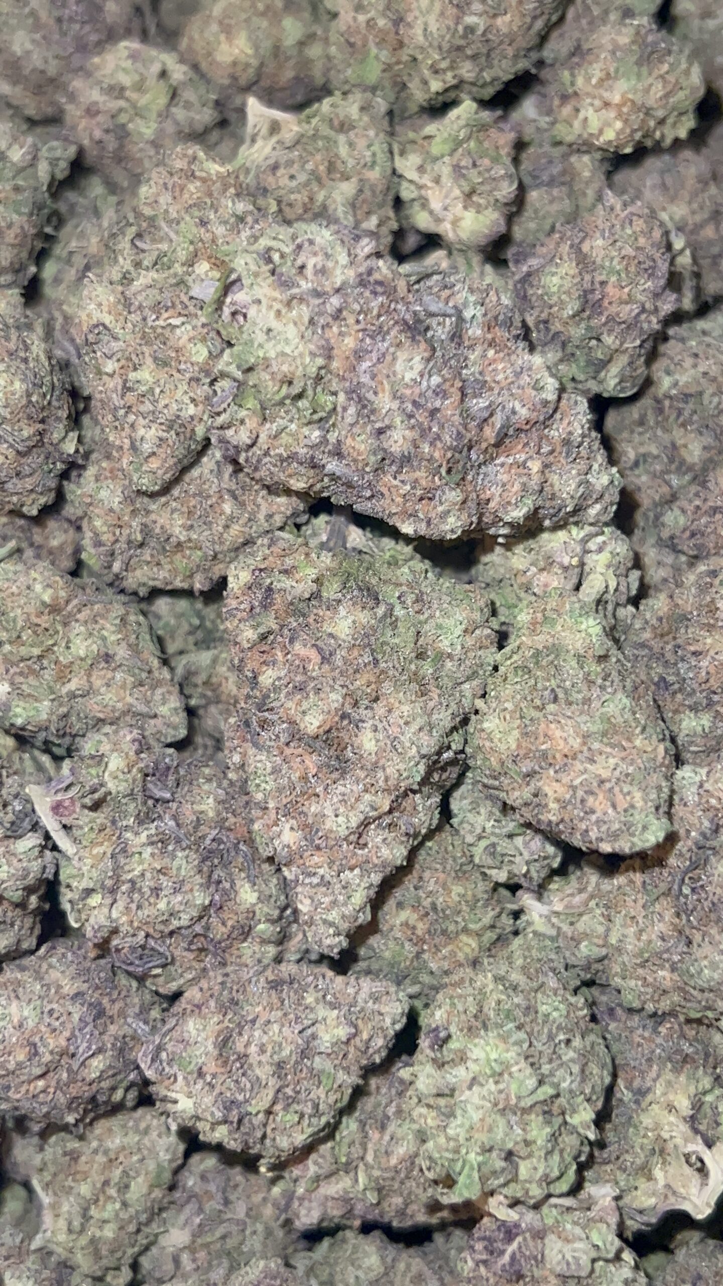 Cap Junky Pack Trapper