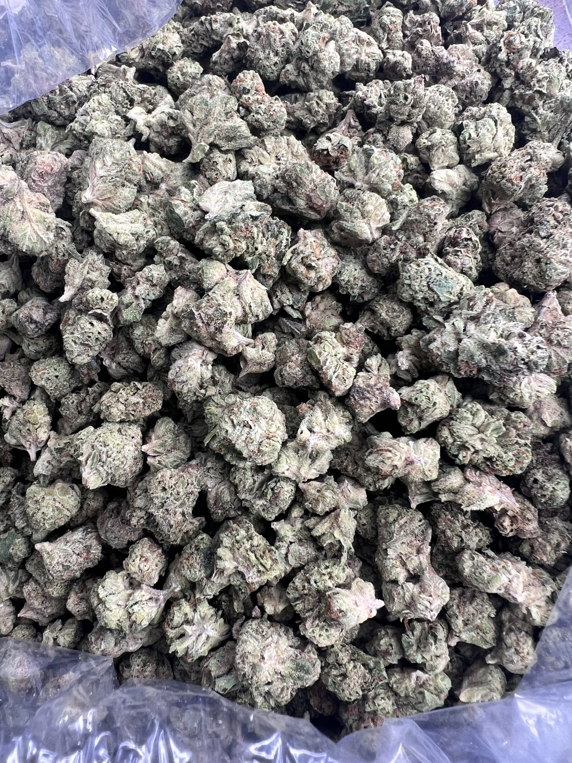 Glitter Bomb (smalls) Pack Trapper