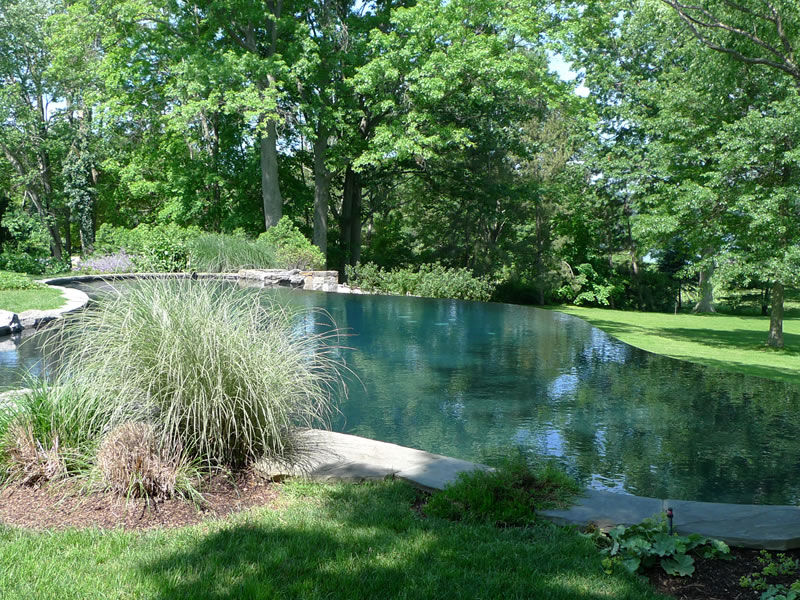 Lawrence Pool Builder Paco Pools